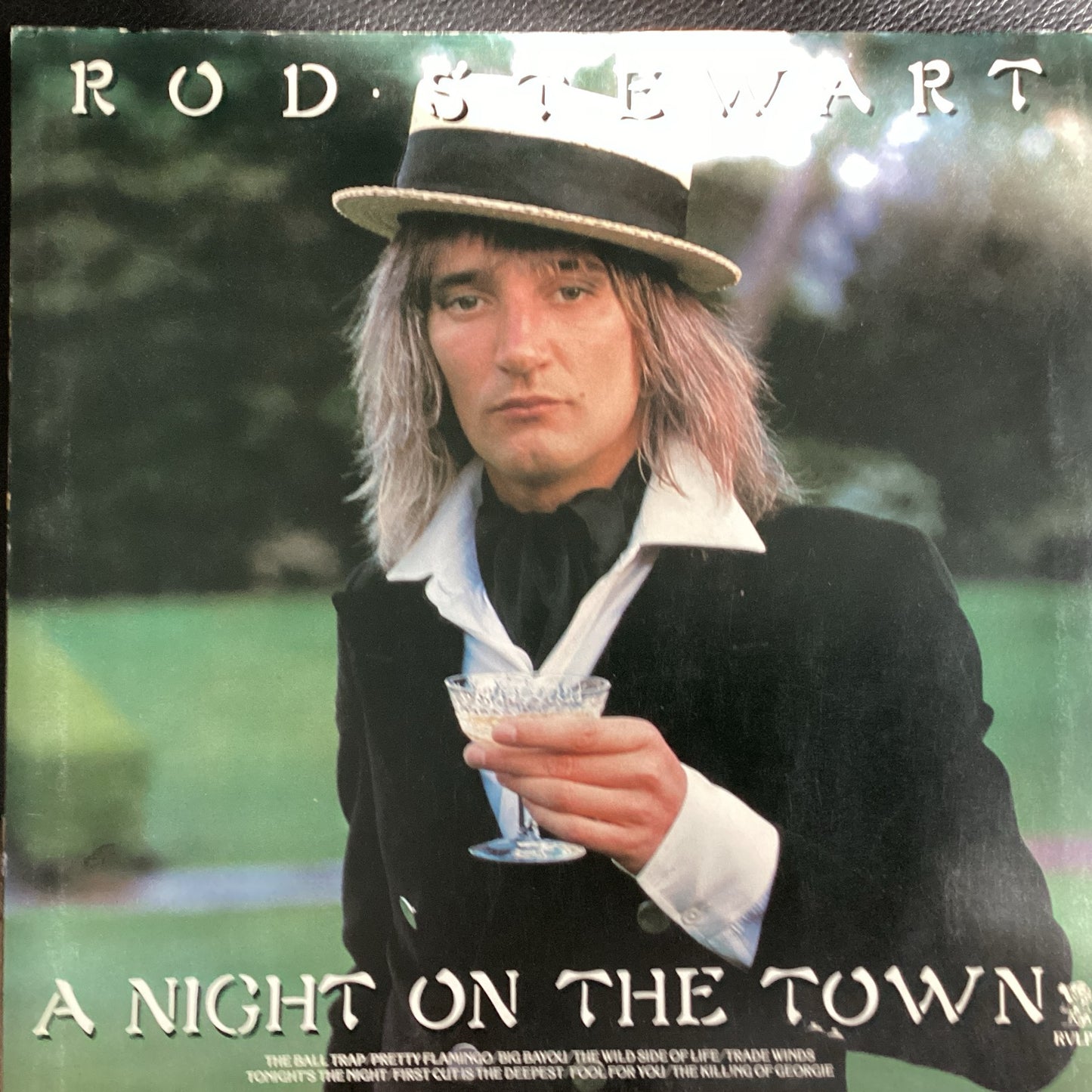 Rod Stewart - A Night On The Town