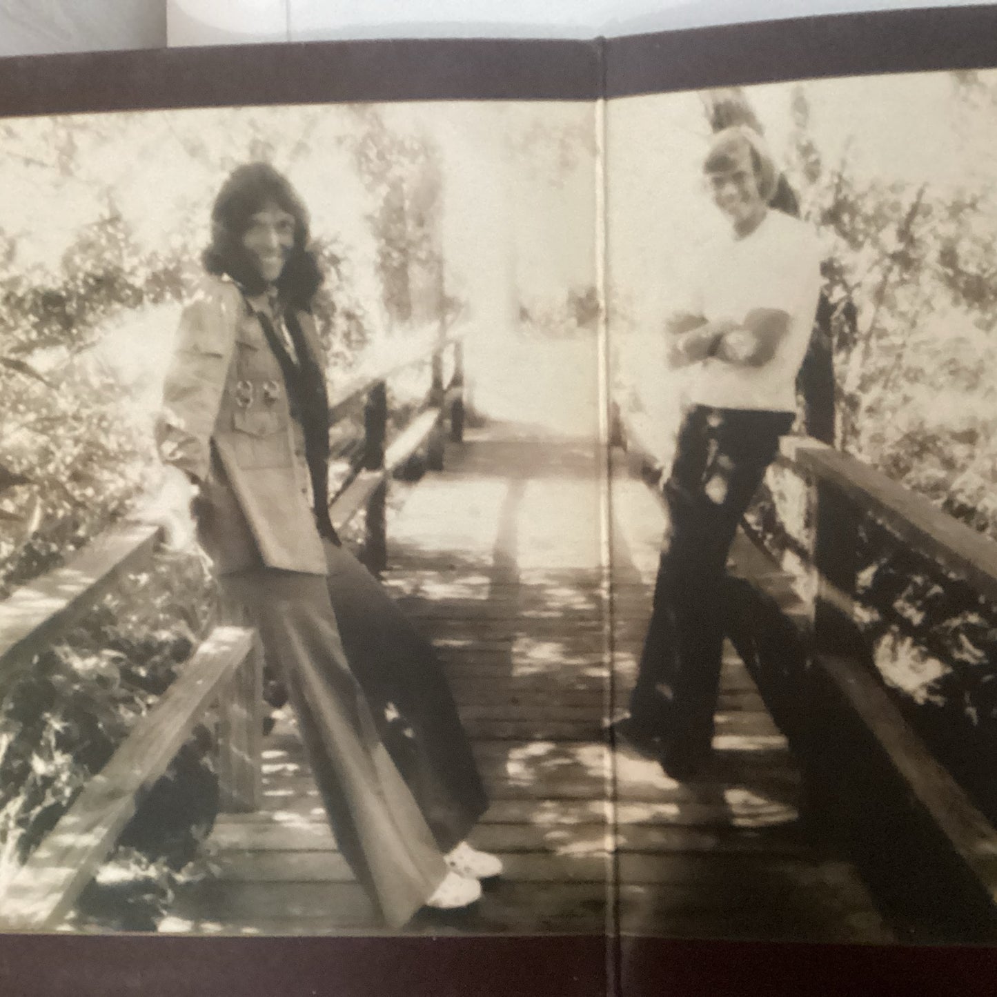 Carpenters - The Singles 1969 - 1973